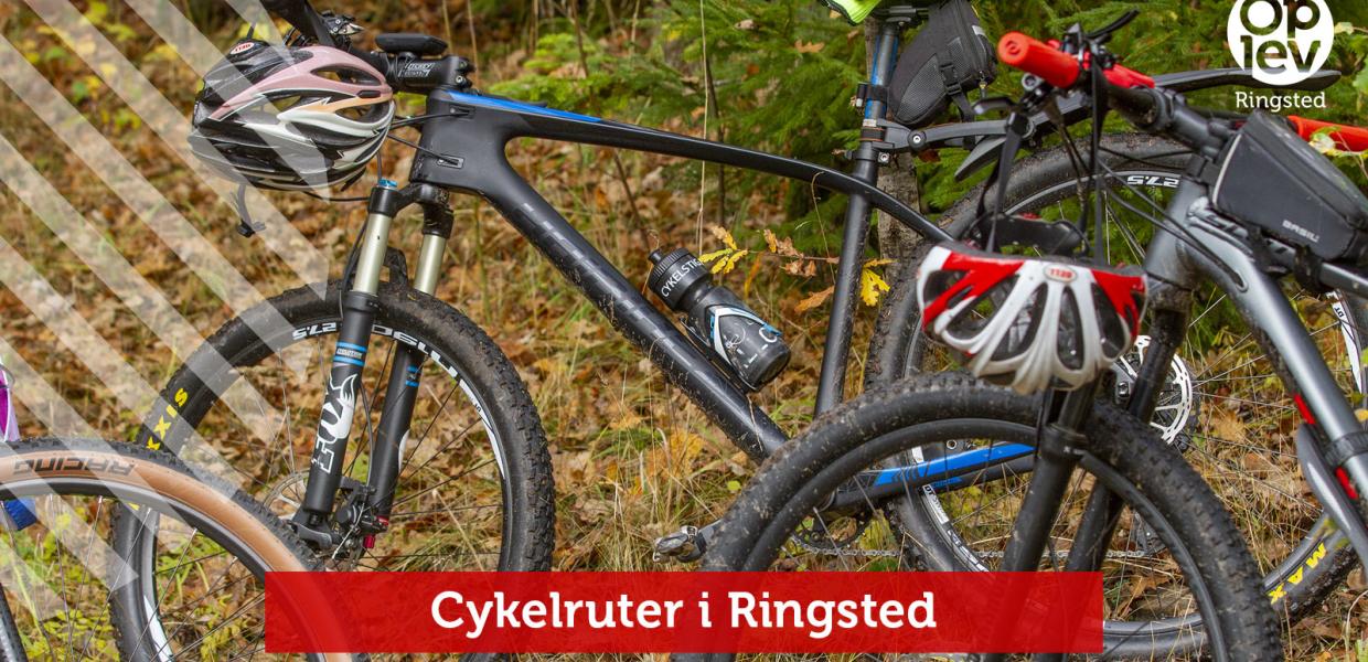 Cykelruter