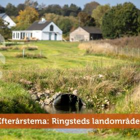 Efterårstema: Ringsteds landområder