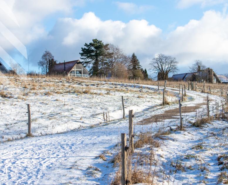 Ringsted - midt i mulighederne
